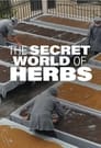 The Secret World of Herbs