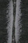 Snow Fall