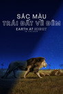 Sắc Màu Trái Đất Về Đêm – Earth at Night in Colour