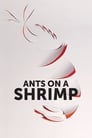 Poster van Ants on a Shrimp