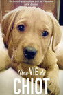 Une vie de chiot