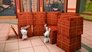 Rabbids BFFs