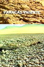 Paracas Viviente