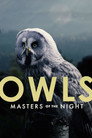 Plakat for 'Owls: Masters of the Night'