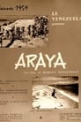 Araya