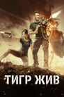 Постер: Tiger Zinda Hai