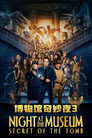 博物馆奇妙夜3：墓葬秘密