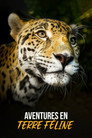 Aventures en terre féline