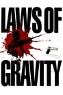 Movie poster for Laws of Gravity