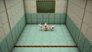 Rabbid Test N°98006-c: The Chair