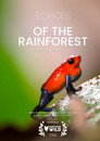 Echoes of the Rainforest:  Piko’s Journey