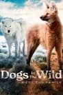 Dogs in the Wild: Meet the Family Episode Rating Graph poster