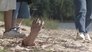Seeds of Destruction