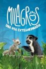 Imagen Milagros: Una osa extraordinaria 2023