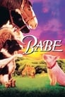 Movie poster for Babe