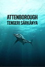 (HD). Attenborough és A Vízisárkány Teljes Film Magyarul (2018) Ingyen Online