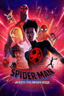 Spider-Man: Across the Spider-Verse