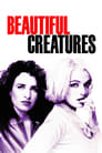 4KHd Criaturas Hermosas 2000 Película Completa Online Español | En Castellano
