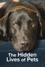 The Hidden Lives of Pets - Temporada 1