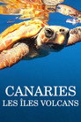 Canaries, les îles-volcans (2023) - Affiche