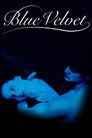 Blue Velvet