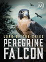 Peregrine Falcon: Lord of the Skies