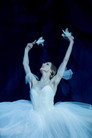 The Bolshoi Ballet: Live from Moscow - Class Concert and Giselle The Bolshoi Ballet: Live From Moscow - Class Concert And Giselle(2011)|ดูหนังออนไลน์ฟรี