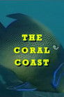 The Coral Coast