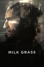 Milk Grass