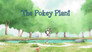 The Pokey Plant