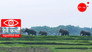 Bahundangi ko Katha