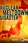 Nuclear Meltdown Disaster