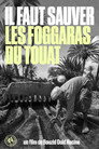 We Must Save the Foggaras of Touat