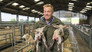 Lambing Special
