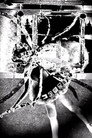 Nine Inch Nails: Came Back Haunted