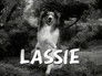 Lassie 19x1
