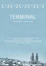 Terminal