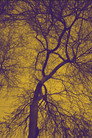 Darkness above and below, laying on the bliss