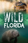 Wild Florida Episode Rating Graph poster