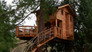 Treehouse Point 2.0!