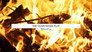 Guy Fawkes & The Gunpowder Plot