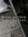 Before the Birds Notice I am Gone