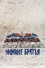 Постер: Winter Brothers