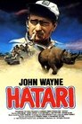 Hatari! Hatari! ☑ Voir Film - Streaming Complet VF 1962