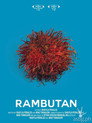 Rambutan