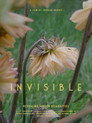 Invisible - Revealing Hidden Disabilities