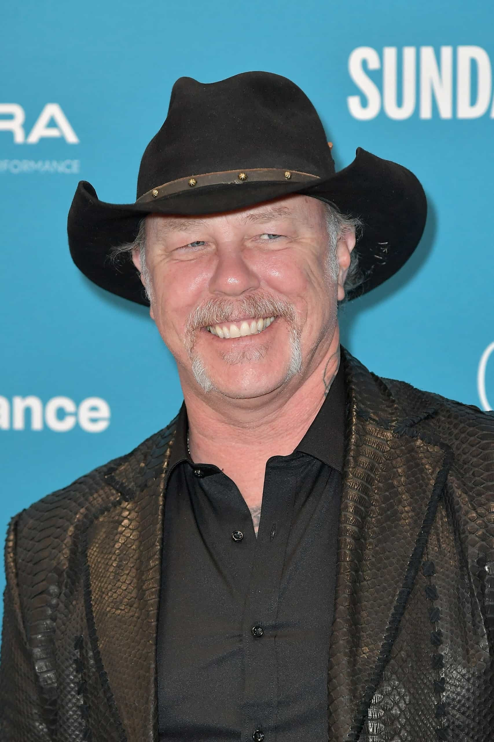 James Hetfield as Wolfgang (voice) in Skylanders Academy