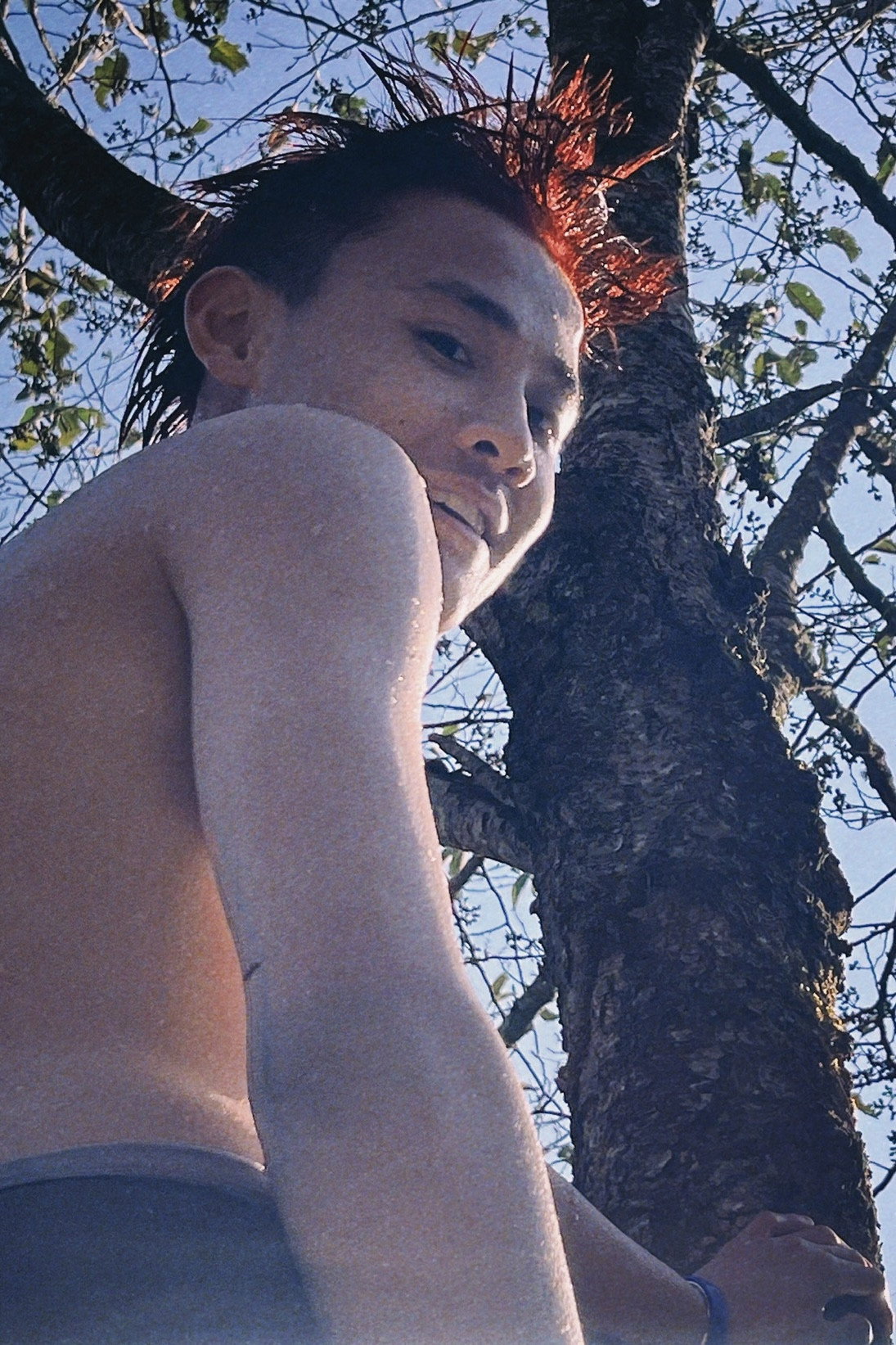 高小康 as Hani in Hani