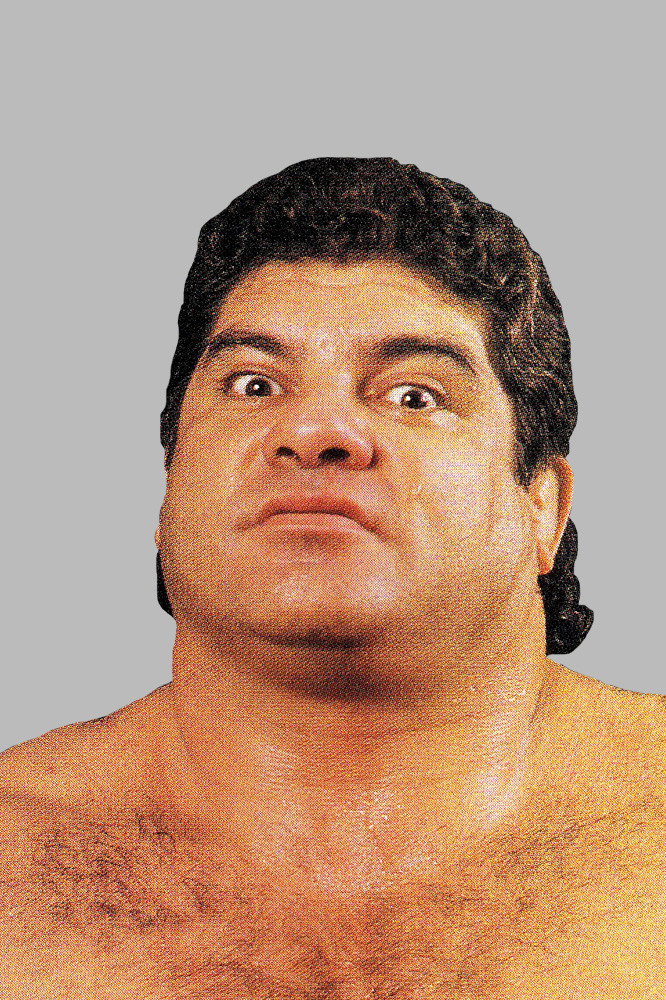 Don Muraco as 'The Magnificent' Don Muraco in WWF All-Star Wrestling