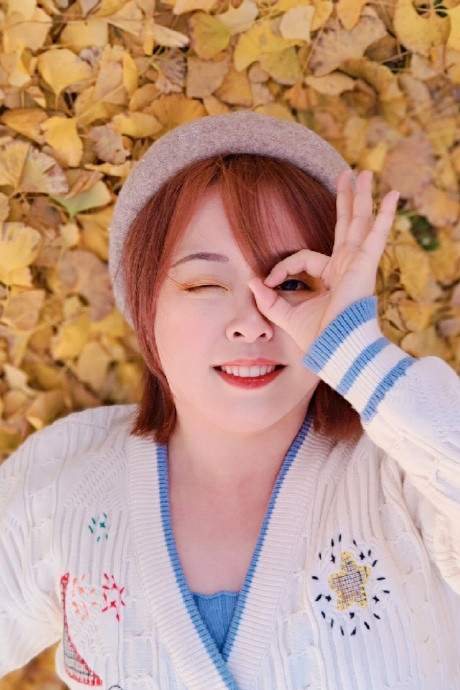 Tang Bao as 幼年紫川秀 (voice) in Purple River